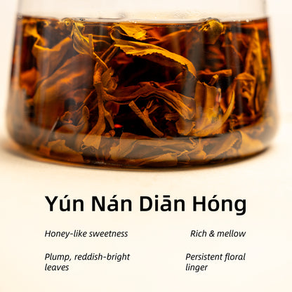 Dian Hong